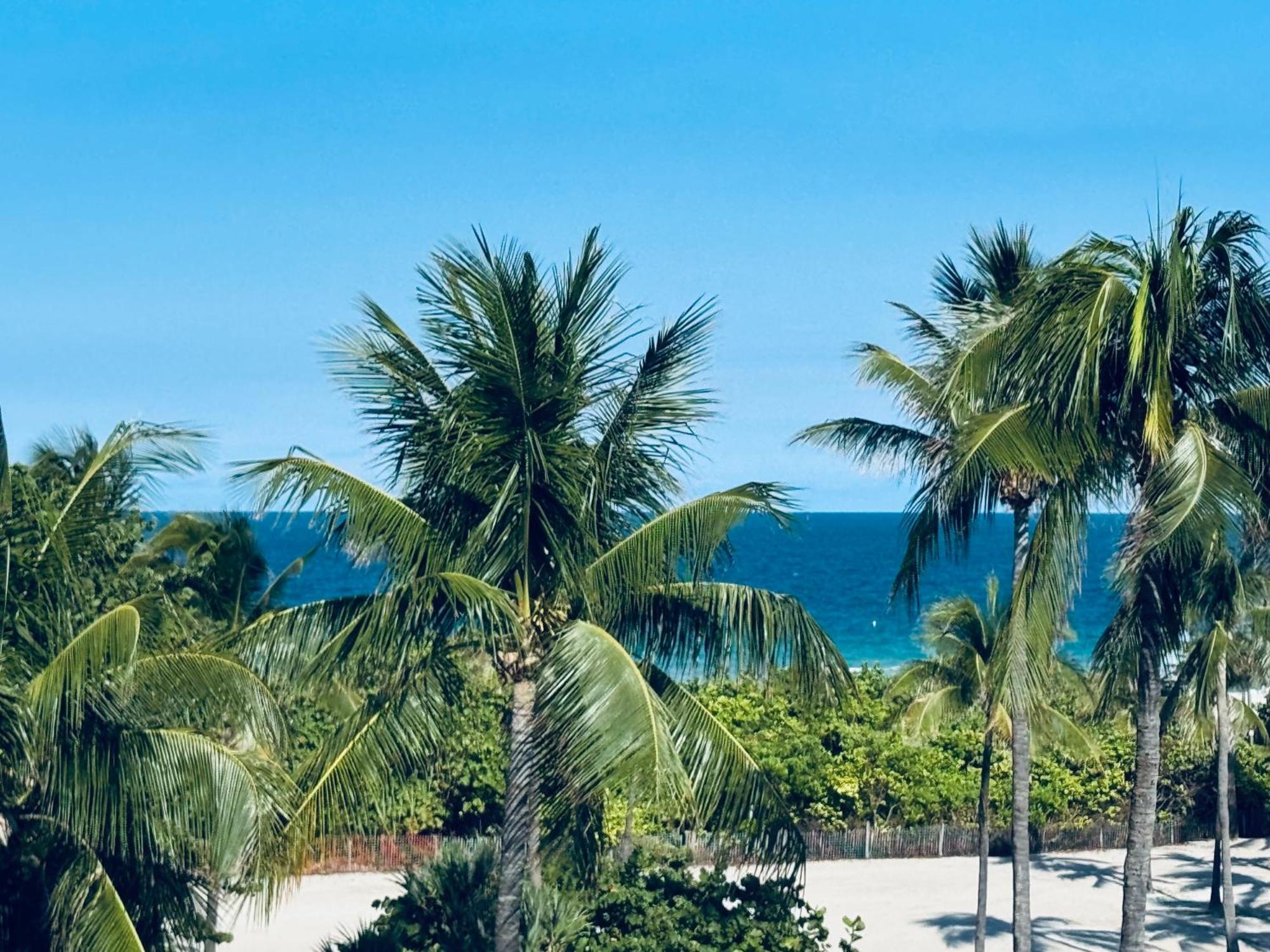 Sunrise Penthouse Ocean View Terrace Beach Few Steps Away Sobe